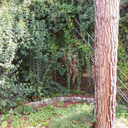דירות סנטה מרגריטה ליגורה Casa Tina מראה חיצוני תמונה
