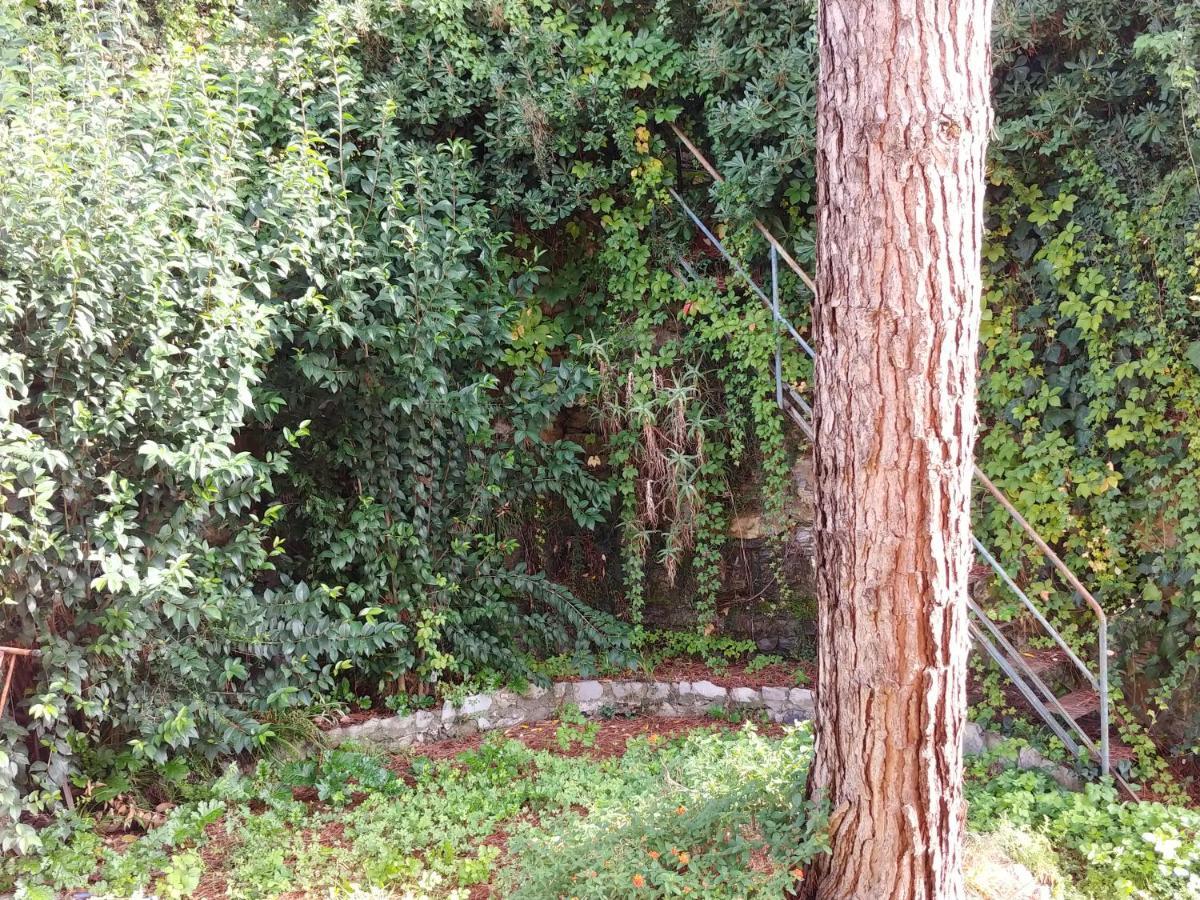 דירות סנטה מרגריטה ליגורה Casa Tina מראה חיצוני תמונה